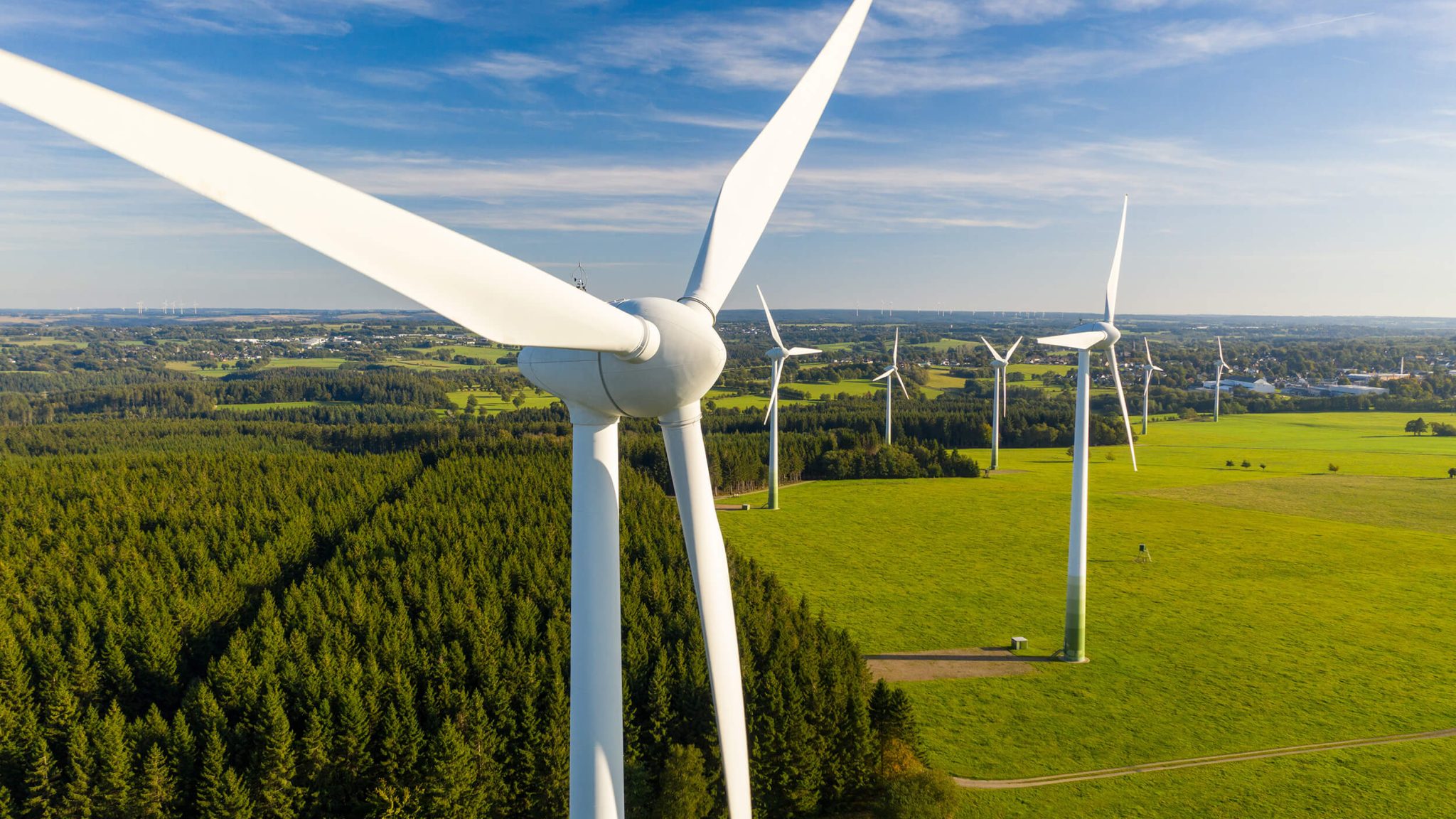 wind turbines in a field